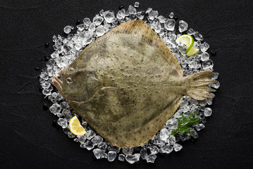 Fresh turbot fish on ice on a black stone table top view - 76913160