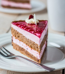 piece of cake with a chocolate biscuit, berry mousse and jelly