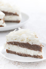 piece of delicious chocolate cake with coconut cream, close-up