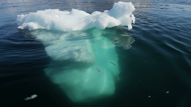 Greenland climate change global weather drifting ice floes fjord 