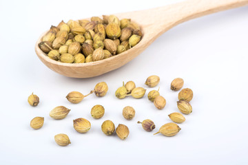 Coriander seeds