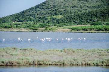 Is Solinas, Masainas - Sardinia