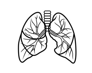 lungs