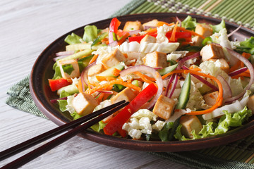 Dietary salad with tofu and fresh vegetables horizontal