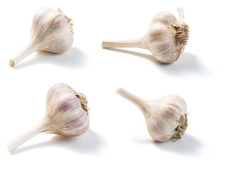 Garlic isolated on a white