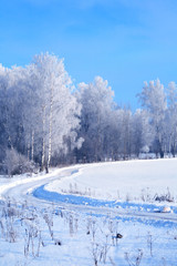 Obraz premium Winter Landscape