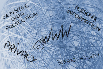 lock on WWW symbol: internet security & risks for confidential i