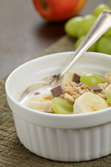 Schokoladen Müsli mit Früchten