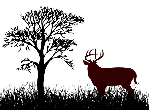 Deer on the grass illustration