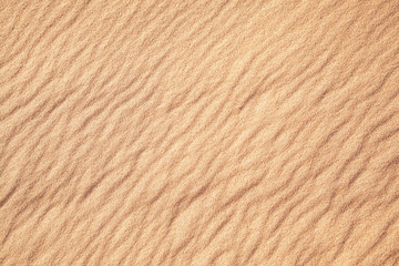 Rippled sand in desert.