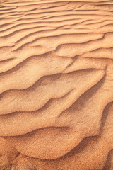 Fototapeta na wymiar Rippled sand in desert.