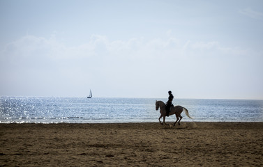 Horse riding silhouette at the beach