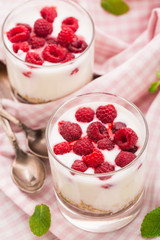 Yogurt with muesli and raspberries