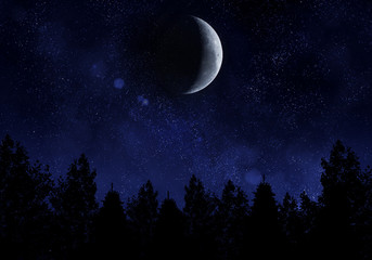 Starry night with moon and forest © trahko