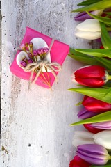 Tulpen mit Geschenk