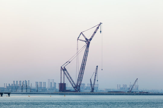 Crane At The Persian Gulf Coast In Dubai, United Arab Emirates