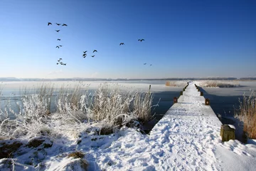 Foto auf Leinwand Ganzen in vlucht boven sneeuw en ijs © www.kiranphoto.nl