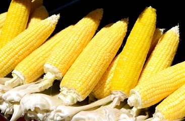 Fresh corn
