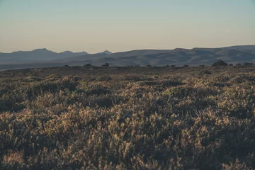 Rolgordijnen The Little Karoo semi desert landscape at dawn. Western Cape. So © ysbrandcosijn