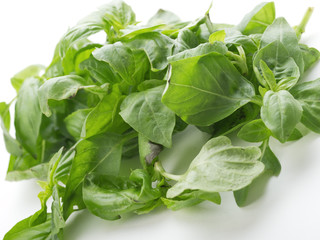 Basil