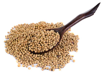 soybeans on wooden spoon top view close up isolated on white
