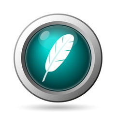 Feather icon
