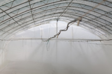 greenhouse farming irrigation