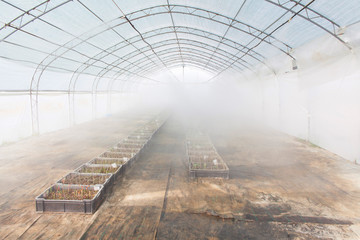 greenhouse farming irrigation