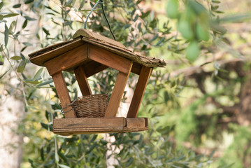 casetta per uccellini