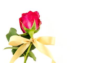 Red roses and yellow ribbons isolated on white background.