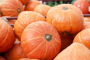 fresh pumpkins