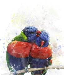 Fototapeta premium Rainbow Lorikeet Parrots