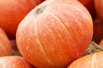 fresh pumpkins