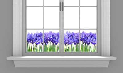 Beautiful spring irises flowering outside a house window
