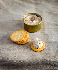 Cracker with tuna spread