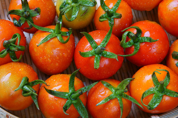 tomato, prevent breast cancer