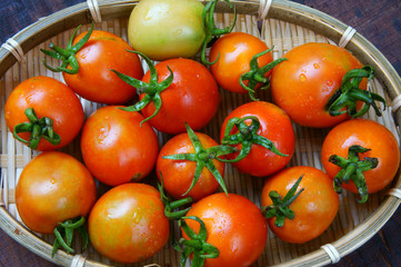 tomato, prevent breast cancer