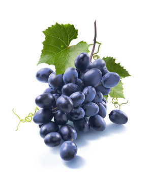 Small dry blue grapes bunch isolated on white background