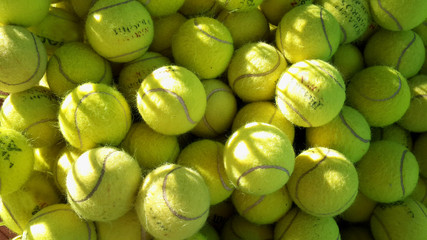 tennis balls in sunlight