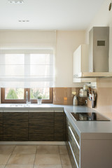 Kitchen with modern furniture