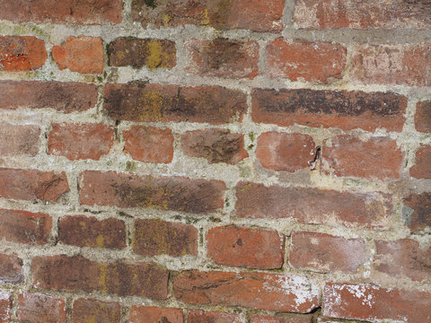 Fototapeta Red bricks background