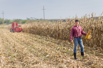 Farmer on corn field