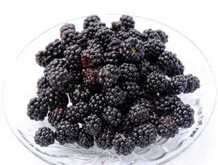 black berries of wild blackberry shrub from forest