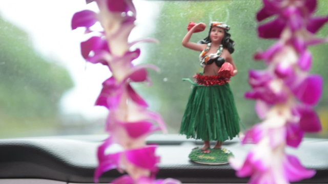 Hula doll dancing and lei - Hawaii travel car