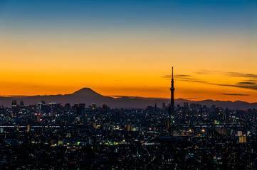 富士山とスカイツリー - 76969916