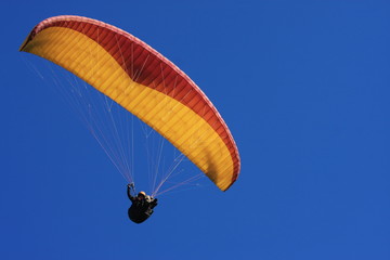paraglider