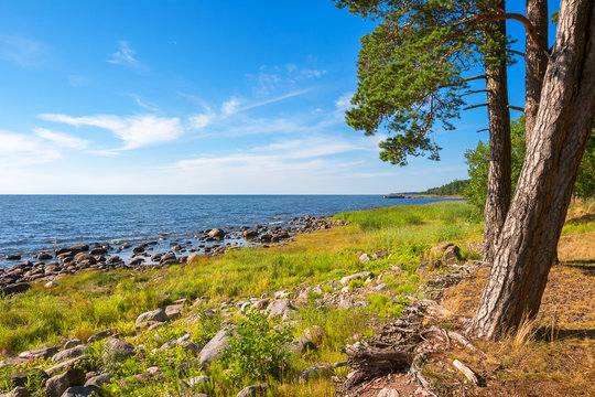 Coastline Of Baltic Sea. Estonia