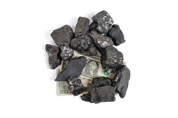 Coal price in dollar terms