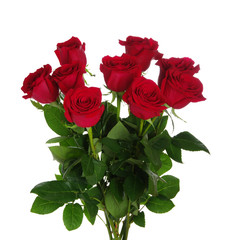Fototapeta premium Red roses bouquet