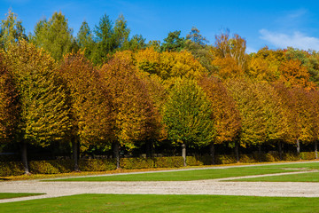 Yellow Trees with Deep Blue Sky-Moritzburg,Germany